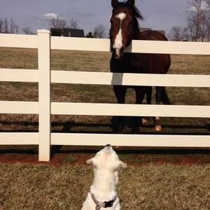 Meet your Posher, Lori